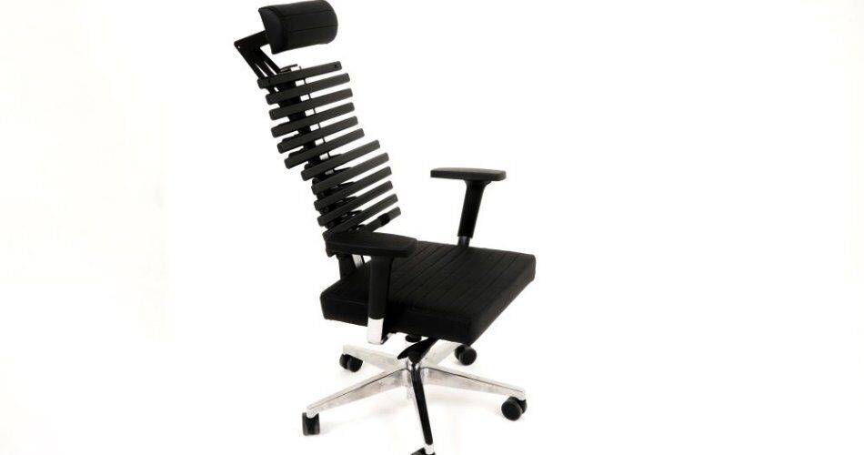 Cadeira Ergonômica com Apoio Lombar e Cervical. Dicas para Escolher a ...